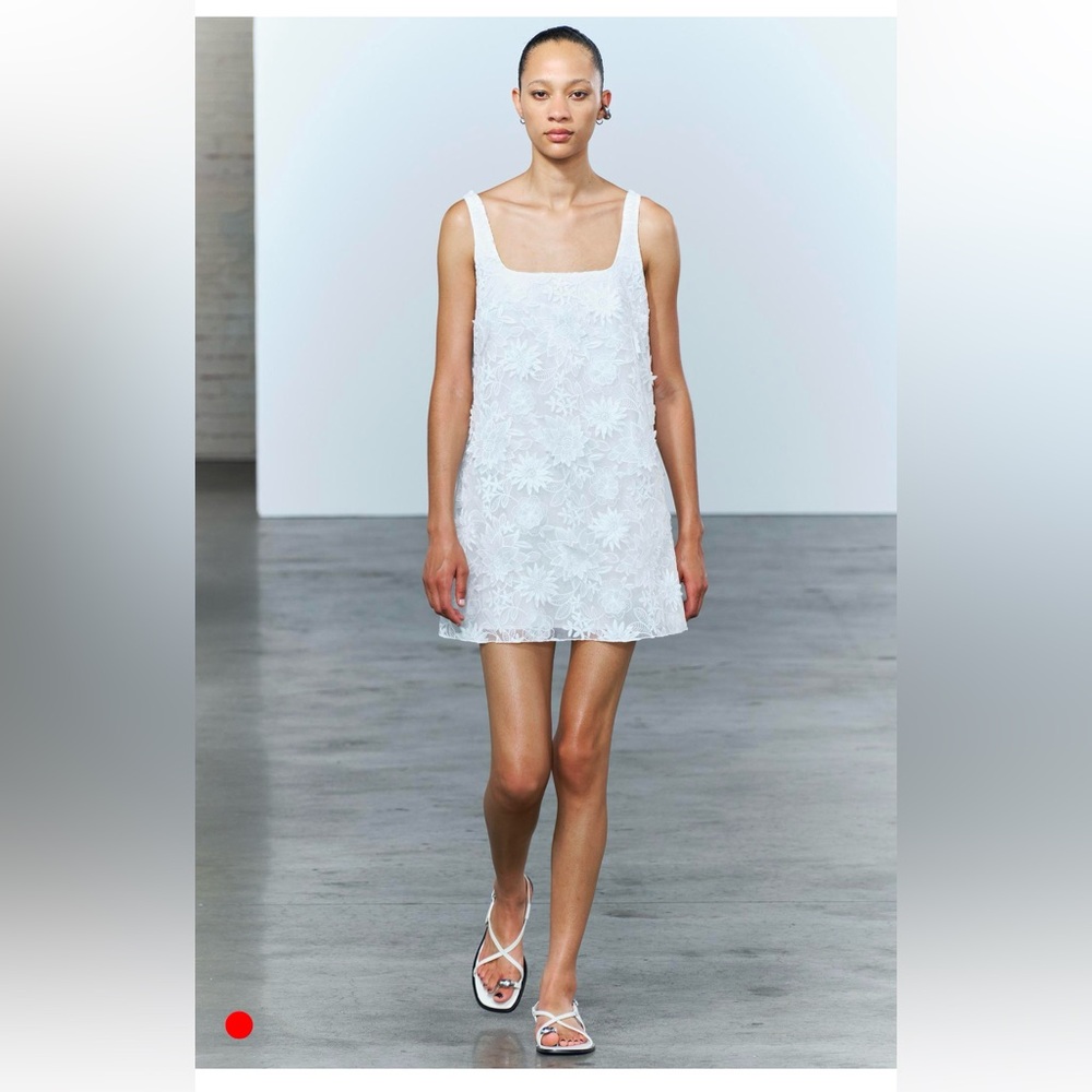 Zara Embroidered mini dress
